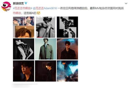 伤痕最新爆料视频,最新视频揭秘惊人内幕